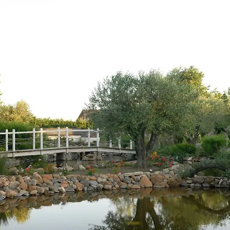 Domus Petra Bed & Breakfast 4*